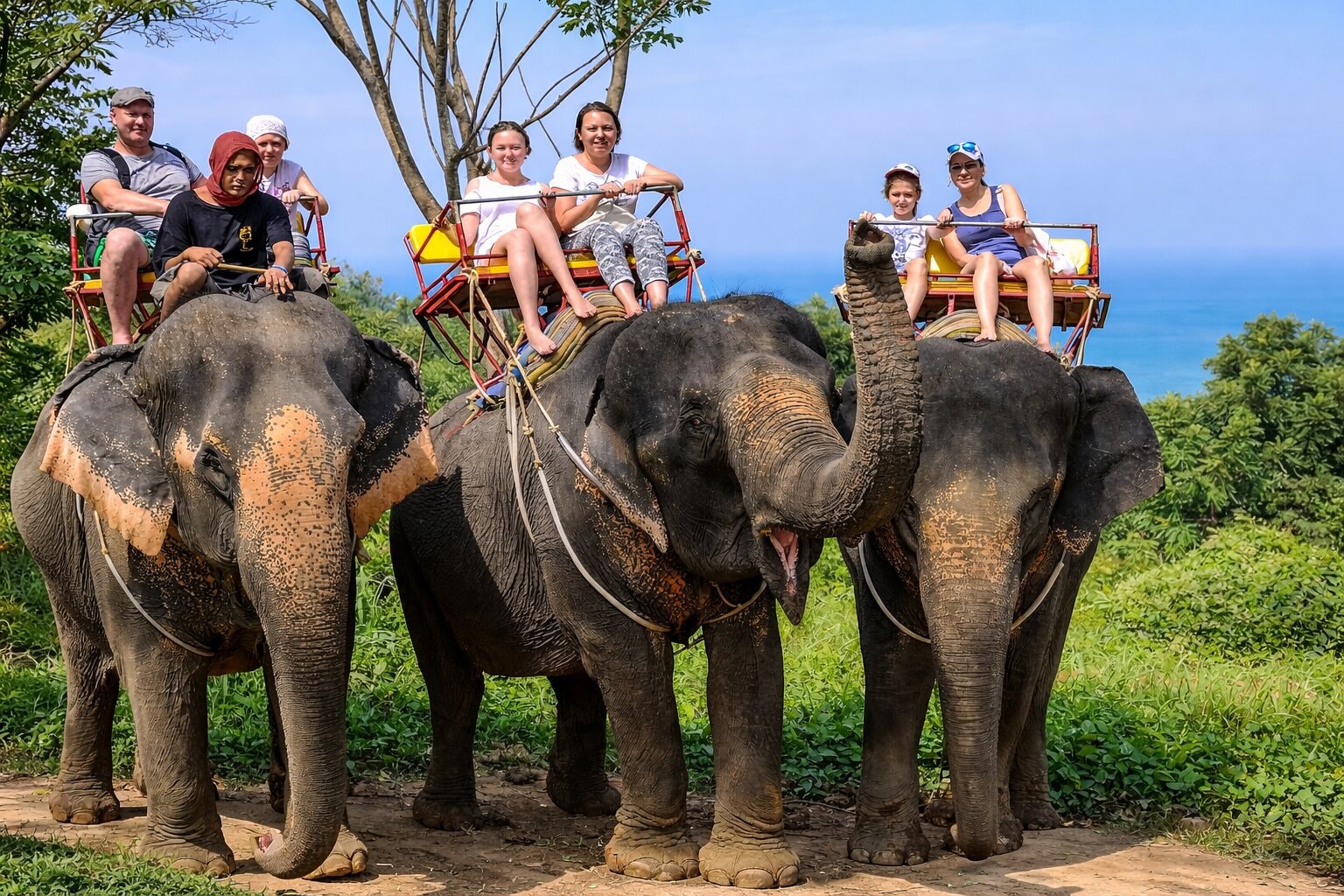 Jour 6 : Trekking avec les éléphants.