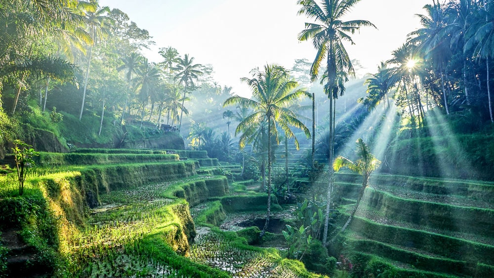 Jour 11 : BALI - JOURNÉE LIBRE (Petit-déjeuner, Déjeuner, Dîner)