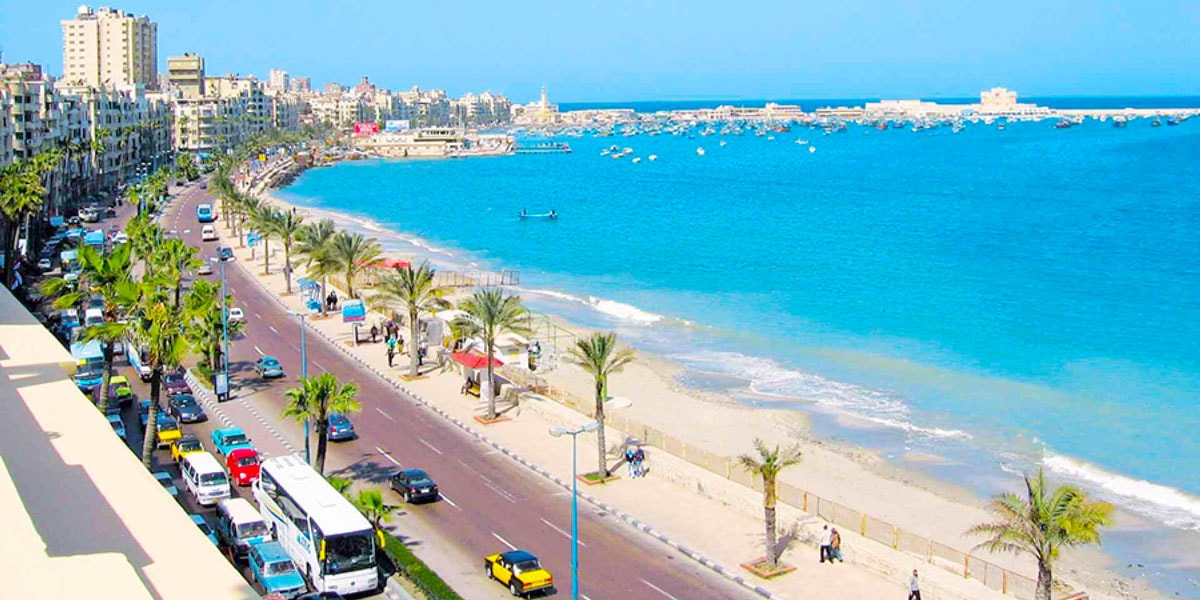 Jour 6 : Alexandria
