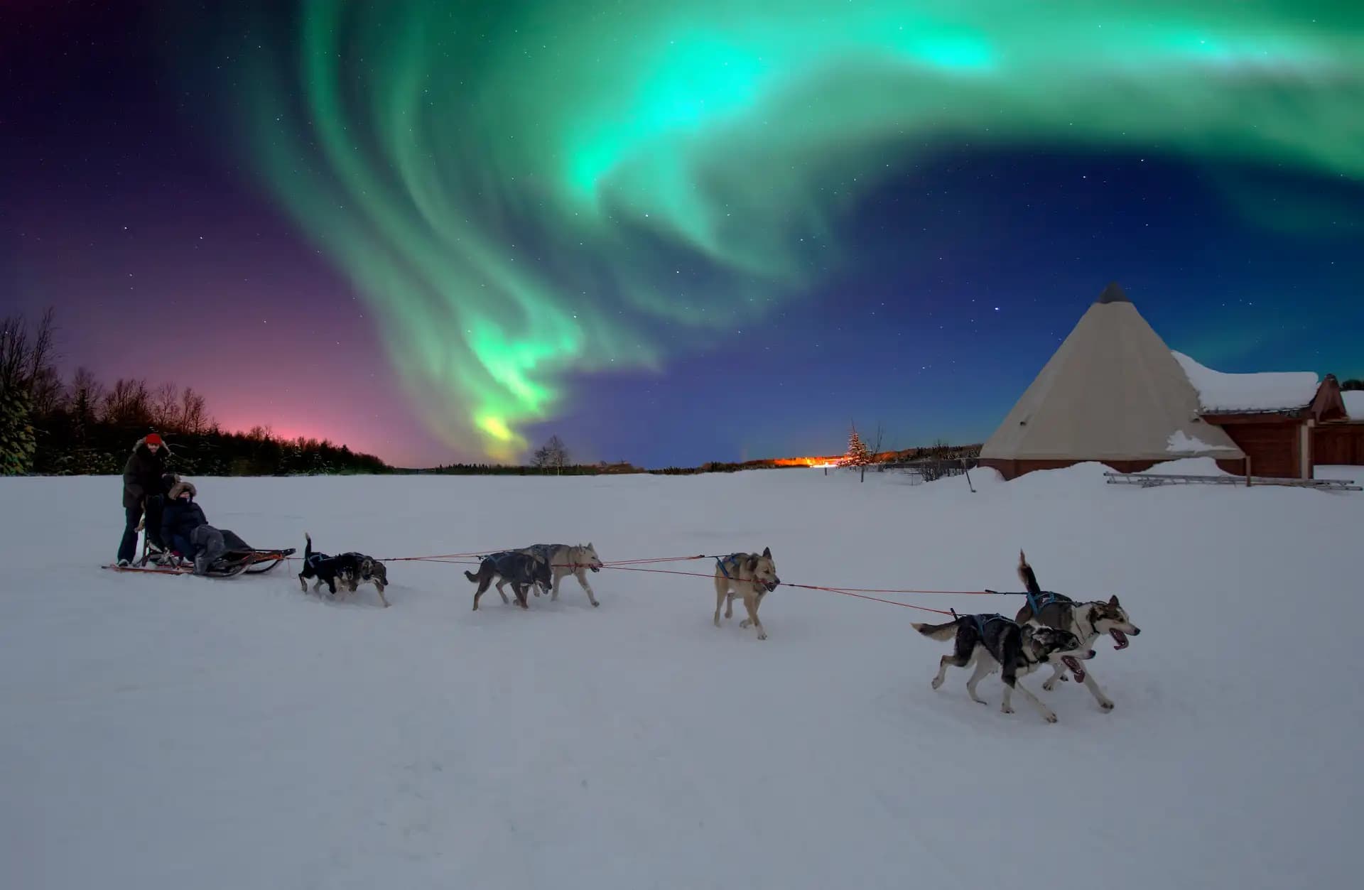Jour 4 : Husky safari