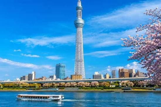 Jour 9 : (TOKYO)