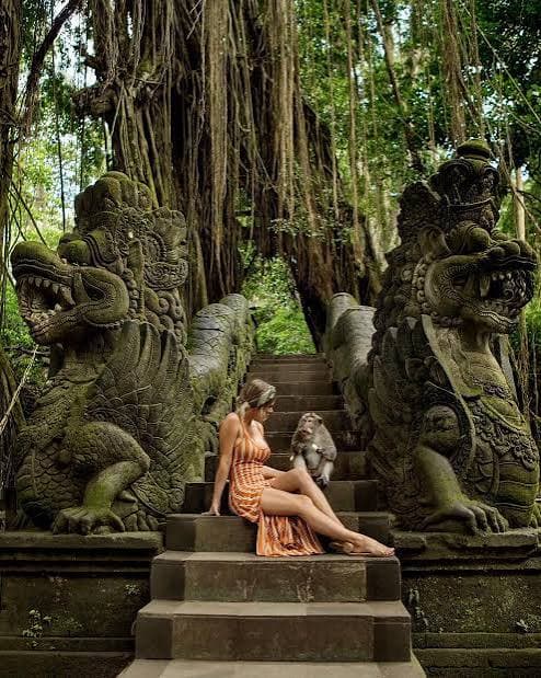 Jour 6 : (Monkey Forest – Kintamani - Mont Batur - Terrasses de Riz avec déjeuner)