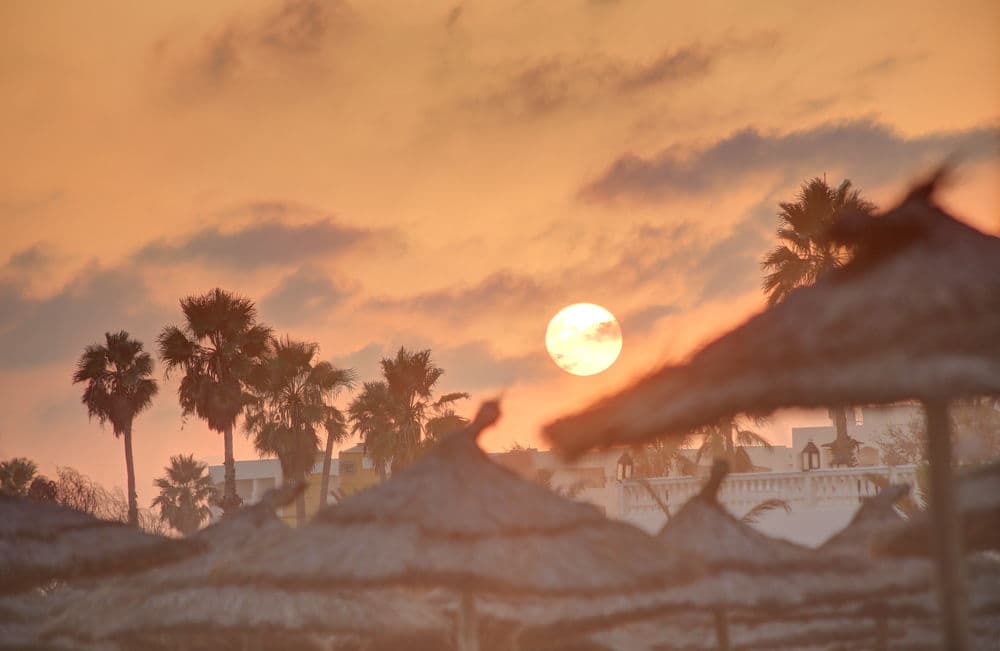 Hammamet_Garden_3.jpg